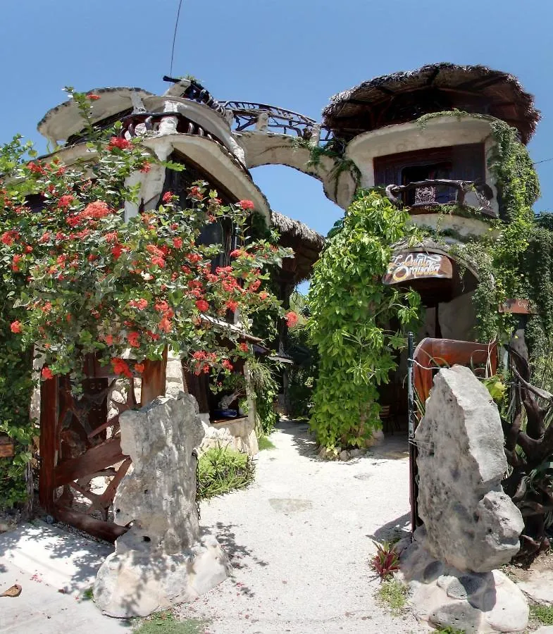La Quinta Orquidea Otel Puerto Morelos